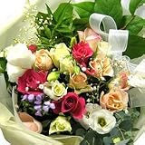 �_�C�A�i�@�G���K���g�u�[�P�@�y���ԁz�y���j���z�L�O���z�y�a�����z�y�t�����[�M�t�g�z�y�o���z