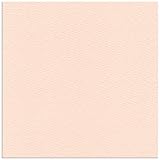 �y5�����p�b�N�z�J���[�y�[�p�[M�@���@1R�|1