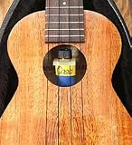 Oasis Ukulele Humidifier