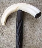 Buy Warthog Ivory Tusk Wooden Walking Stick Ebony Wood