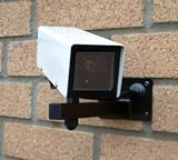 Dummy CCTV Camera with Flashing LED Light (TWINPACK): dummy cctv cameras