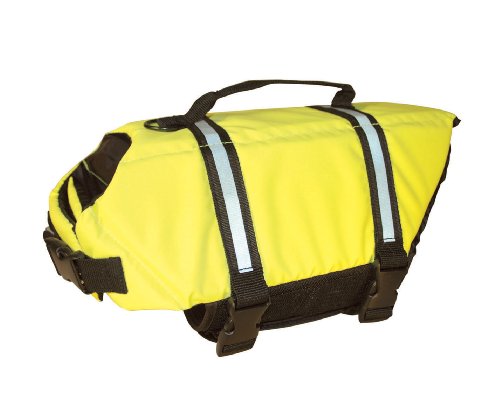 Paws Aboard Large Designer Doggy Life Jacket, 