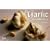 The Garlic Cookbook (Nitty Gritty Cookbooks)