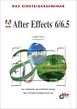 Das Einsteigerseminar Adobe After Effects 6 / 6.5. Der methodische und ausführliche Einstieg.