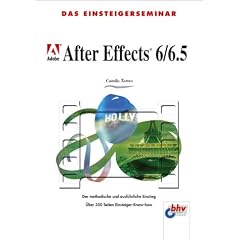Das Einsteigerseminar Adobe After Effects 6 / 6.5. Der methodische und ausf�hrliche Einstieg.