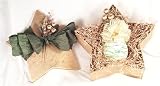 erin's holiday star box