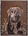 Chocolate Labrador Retriever Dog Deluxe Full-Size Tapestry Blanket