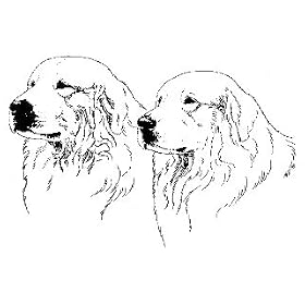 7.5cm x 5cm Acrylic Fridge Magnet-Great Pyrenees02