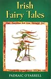 Irish Fairy Tales
