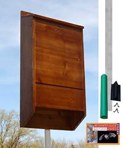 Amazon.com : BestNest Premium Stained Bat House Kit with Pole, 400 bats