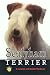 Sealyham Terrier (Rare Breed)