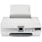 Lexmark All-in-One Photo Printer Copier Scanner - White/Silver (P4350)