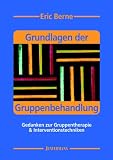 Grundlagen der Gruppenbehandlung: Gedanken zur Gruppentherapie & Interventionstechniken