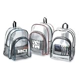 Standard Transparent Backpack