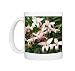 Regal lily (Lilium andamp;apos;Vogueandamp;apos;) Photo Mugs