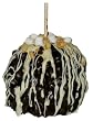 S'mores Galore Deluxe - Belgian Chocolate Caramel Apple