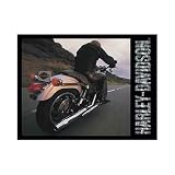 FX Schmid Harley Davidson Live To Ride 500 Piece Jigsaw Puzzle by FX Schmid