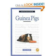 A New Owner's Guide to Guinea Pigs