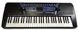 SPECIAL OFFER PITCHMASTER FULL SIZE DIGITAL TEACHING KEYBOARD 61 KEYS WITH STAND INCLUDED