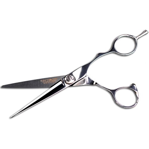 Kamisori D5 Teuton Professional Hair Shears, 6 Inch Beauty