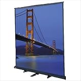 Da-Lite 40274 and Floor Stand for Floor Model C Matte White Floor Model C Portable Manual Screen with Floor Stand - 10' x 10' AV Format