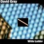 WHITE LADDER