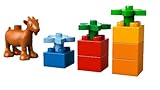 LEGO Duplo Brick Themes 10517 - Il Mio Primo Giardino