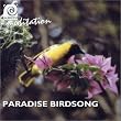 Sound of Meditation - Paradise Birdsong