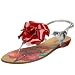 Diba Women's Quin Sea Thong Slingback Sandal