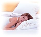 Royal Velvet Signature European White Goose Down Standard Pillow
