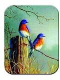 Bluebird - Small by Tuf Top Cutting Boards