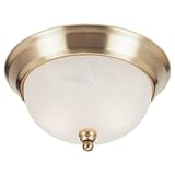 Buy Sea Gull Lighting 79142BLE-02 Single-Light Fluorescent Ceiling Fixture, Alabaster... by Sea Gull Lighting