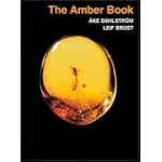 The Amber Book