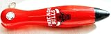 Chicago Bulls NBA Basketball official Logo Light Pen