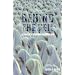 Behind the Veil: A Nurses Arabian Nightmare