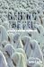 Behind the Veil
