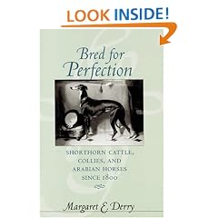 Bred for Perfection: Shorthorn Cattle, Collies, and Arabian Horses since 1800
