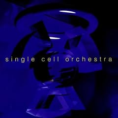 Single Cell Orch