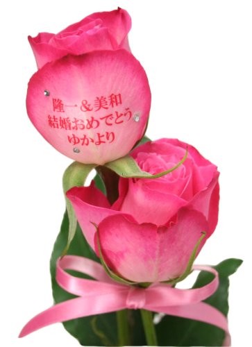 フローリッシュ メッセージローズ (生花) ピンク 2本 ラインストーン 申込みキット 18586