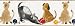 Wallpaper York (33161) Boys Will Be Boys BZ9144B