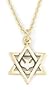 14k Yellow Gold Star of David with Dove Pendant by Bob Siemon, 18"