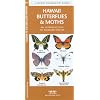Hawaii Butterflies & Moths: An Introduction to Familiar Species (State Nature Guides)