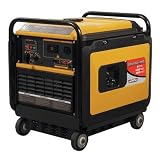 4300 Watt Portable Gasoline Inverter Generator