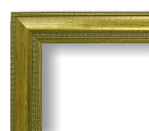 17x22 / 17x22 Antique Gold custom picture frame complete new