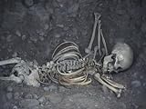 Human Sacrificial Remains, Pre-Incan Civilization of Lima, Huaca Pucllana, Lima, Peru Photographic Poster Print by Cindy Miller Hopkins, 56x42