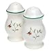 Pfaltzgraff Winterberry Salt and Pepper Set
