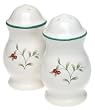Pfaltzgraff Winterberry Salt and Pepper Set