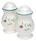 Pfaltzgraff Winterberry Salt and Pepper Set