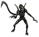 AVP: Requiem Alien Warrior Action Figure - Neca