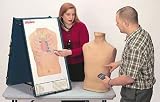 Nasco Complete Life/form Auscultation Training Station